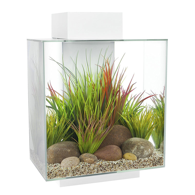ASKOLL Edge aquarium 46l led bianco