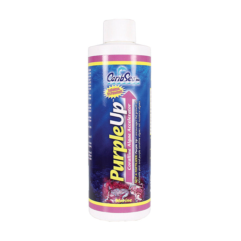 Purple Up 500 ml