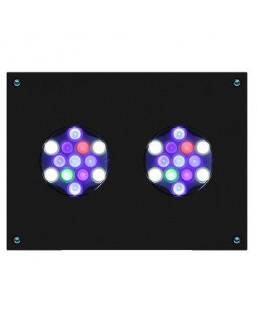 AQUA ILLUMINATION Hydra 32 HD nera