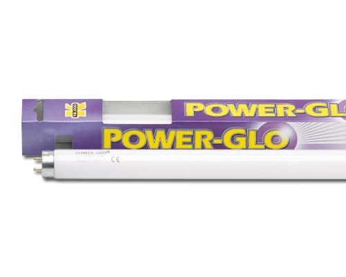 ASKOLL Power-glo 15W 18000K