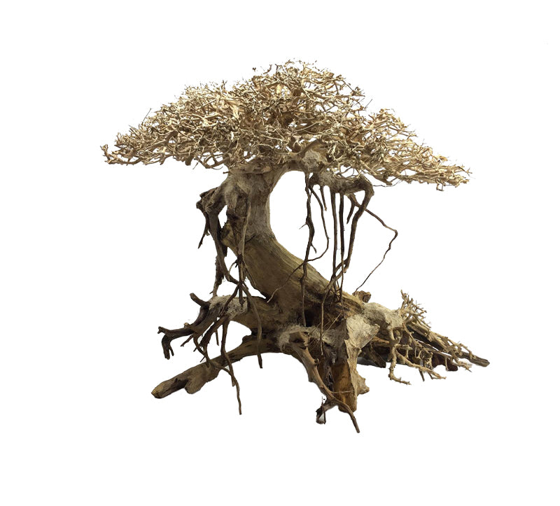 ADA Bonsai wood S (20x15)