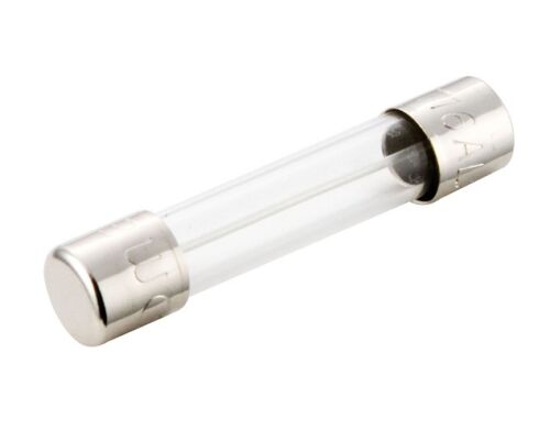 KORALLEN ZUCKT 5A fuse