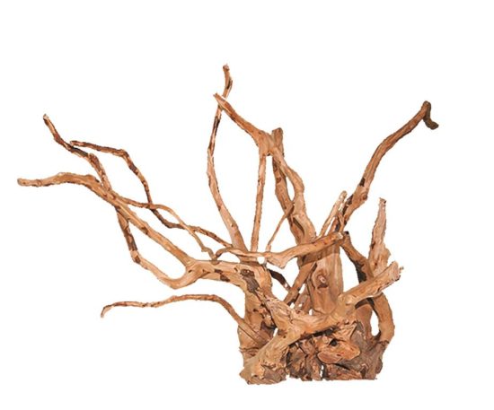 WHIMAR Decor drift wood misura XL
(oltre 60 cm)