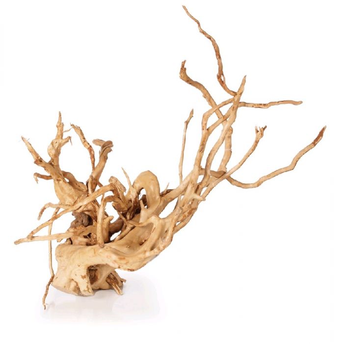 Twinstar tronco Driftwood al kg
