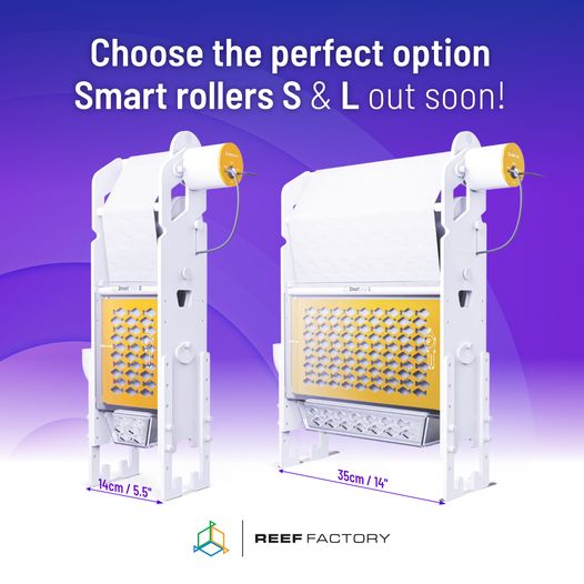 REEF FACTORY Smart roller L