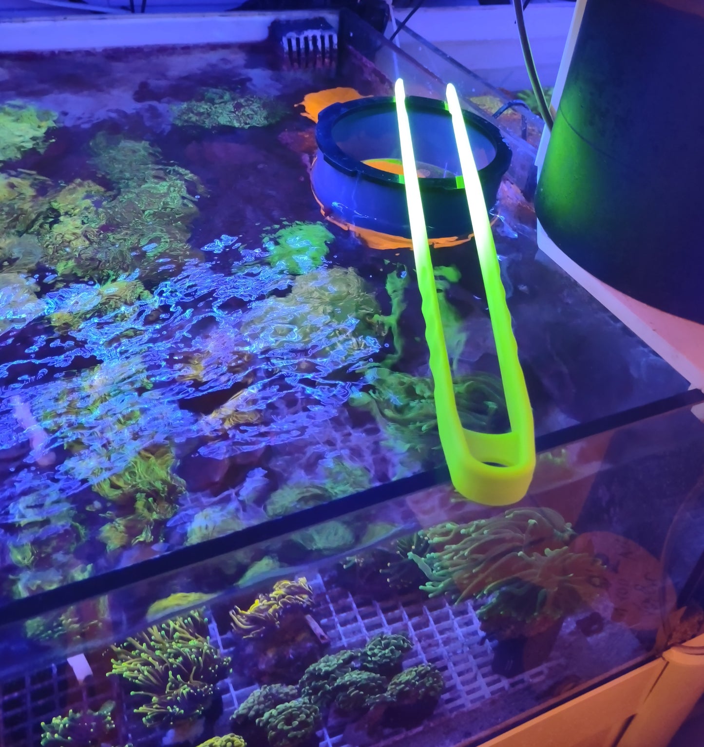 Pinza UV reactiv verde fluo