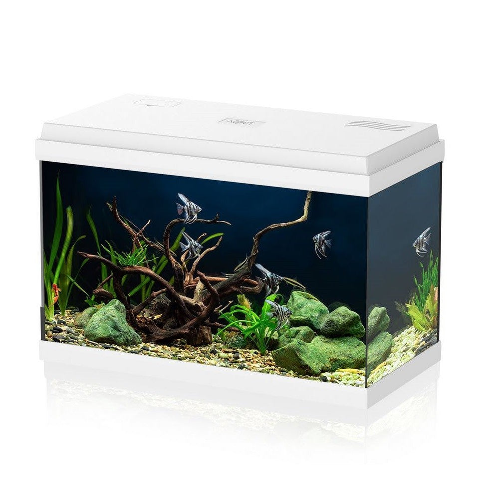 AQPET Simply led 60 bianco acquario