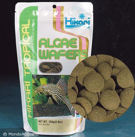 HIKARI Algae wafers 40 gr