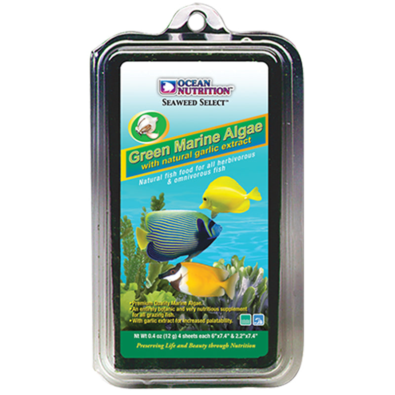 OCEAN NUTRITION Alghe brown