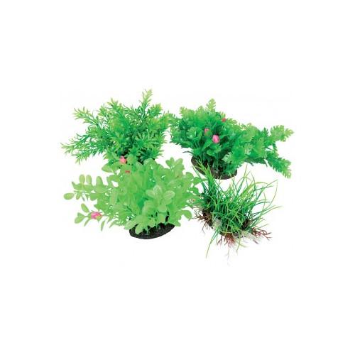 HOBBY Aereoplant con diffusore color M