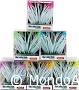 Decoro anemone