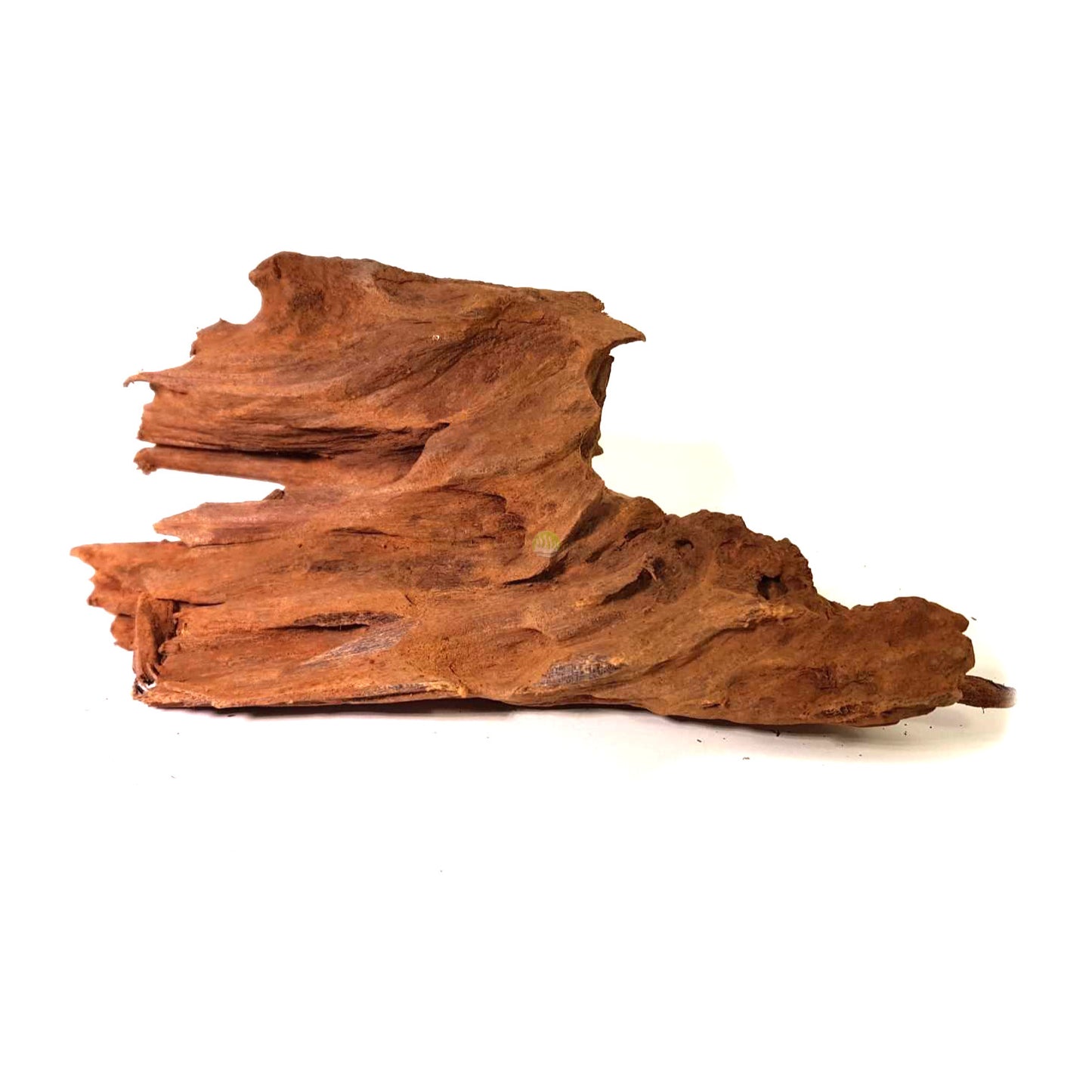 ZOLUX Radice di mangrovia 50-65 cm
Immagine puramente indicativa