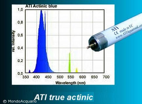 ATI Actinic 39W