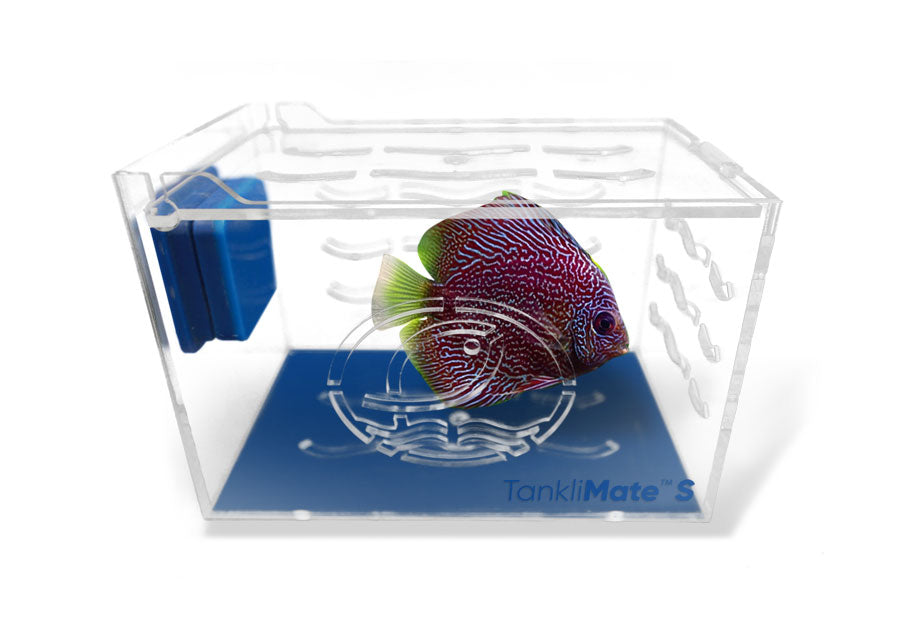 ESHOPPS Tanklimate nano sala parto in acrilico 15x10 cm con supporto magnetico