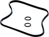 SICCE Kit o-ring coperchio +2 o-ring in-out- whale 120-200