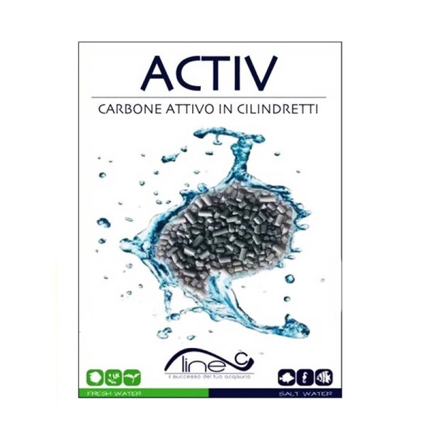 Insa carbone activ 2x50g
