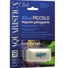 Magnete piccolo galleggiante