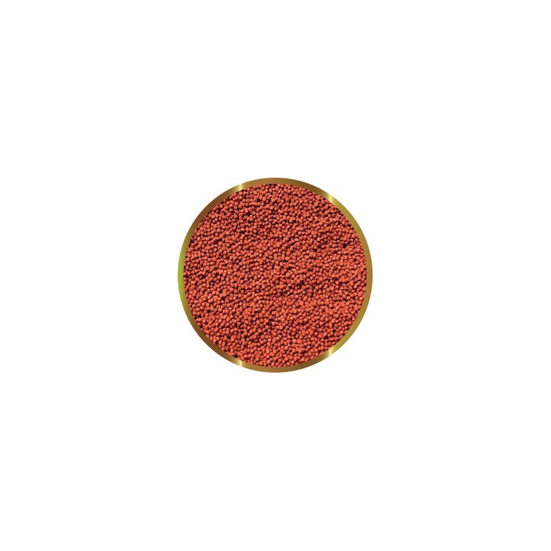 SHG Micro hi red 125
