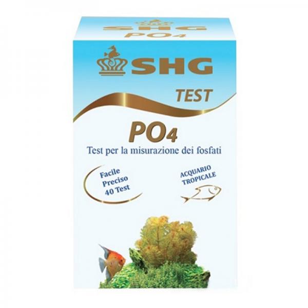 SHG Test po4 dolce