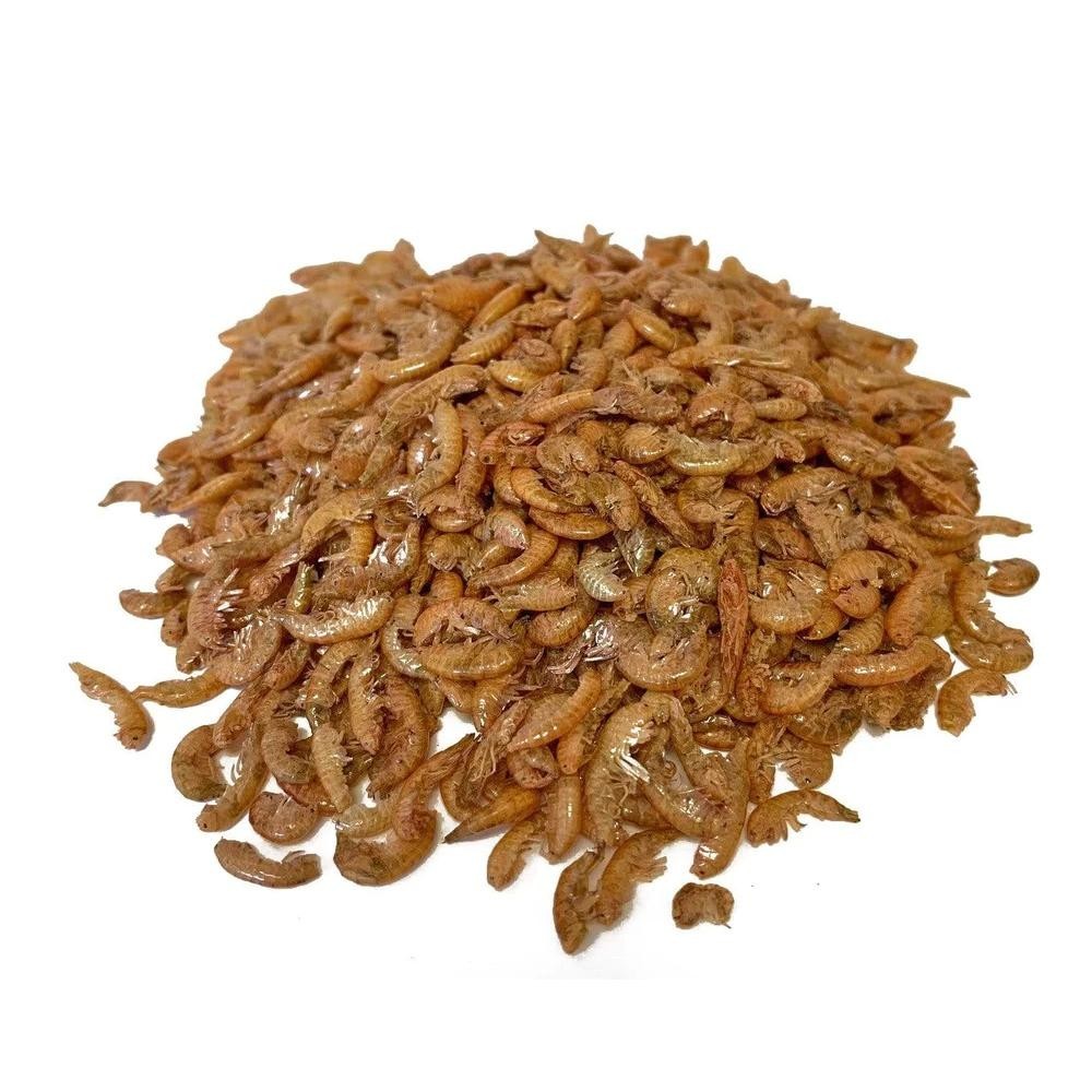 INSA Vilma gammarus BIG1000 ml