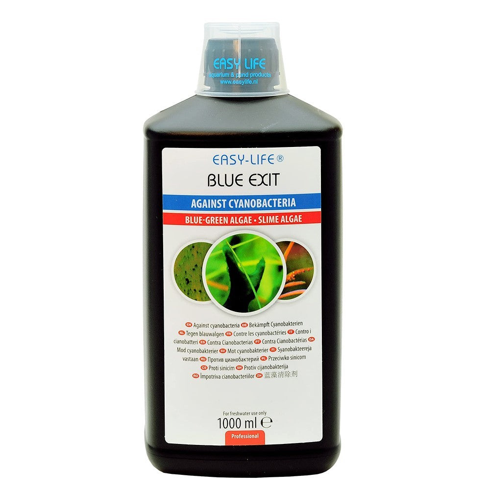 EASY LIFE Blue exit 1 lt
