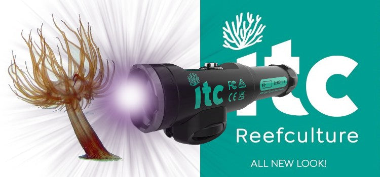 ITC Ref Delete