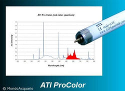 ATI Pro Color 24W