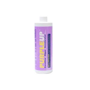 Purple Up 237ml