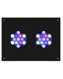 AQUA ILLUMINATION Hydra 32 HD nera