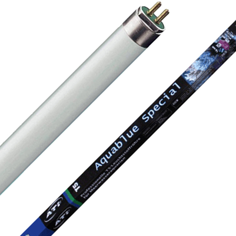 ATI Aquablue special 80w