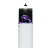 AQPET  Kubic reef 50x50x50 solo vasca