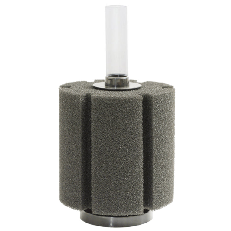 ISTA Filtro a spugna XL 21x12