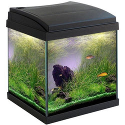 MTB Acquario Milo 30 cubik nero vision