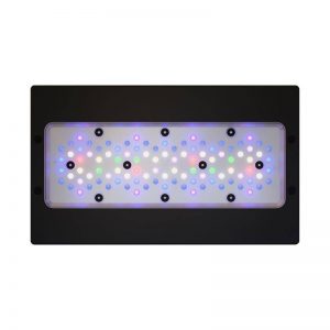 ECOTECH  MARINE  Radion Xr30 G6 blue