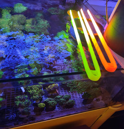 Pinza Uv reactiv giallo fluo