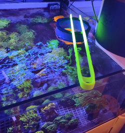 Pinza UV reactiv  verde fluo