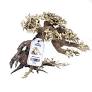WHIMAR Bonsai S