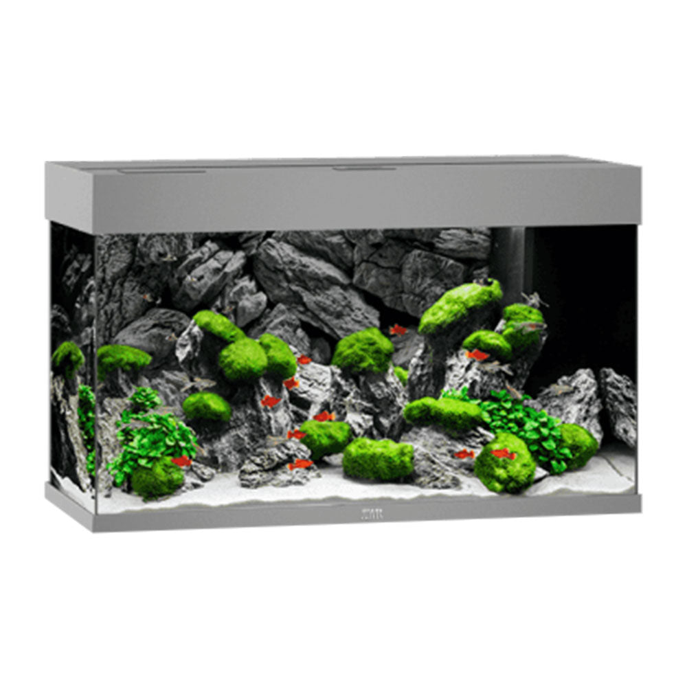 JUWEL Rio 125 grigio 2x14w led