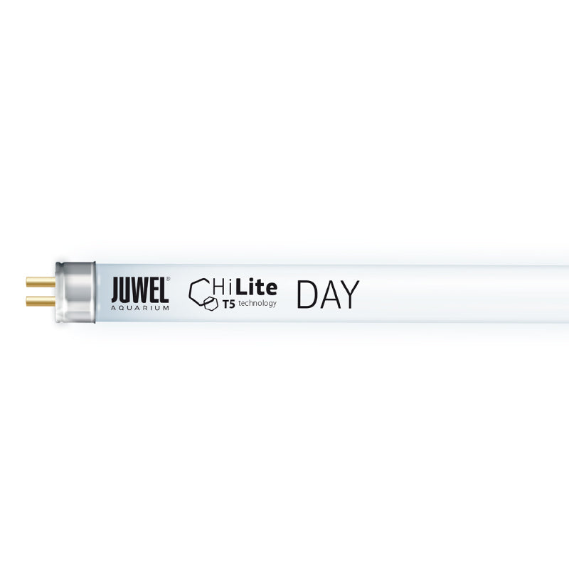 JUWEL Day 1047 54 w