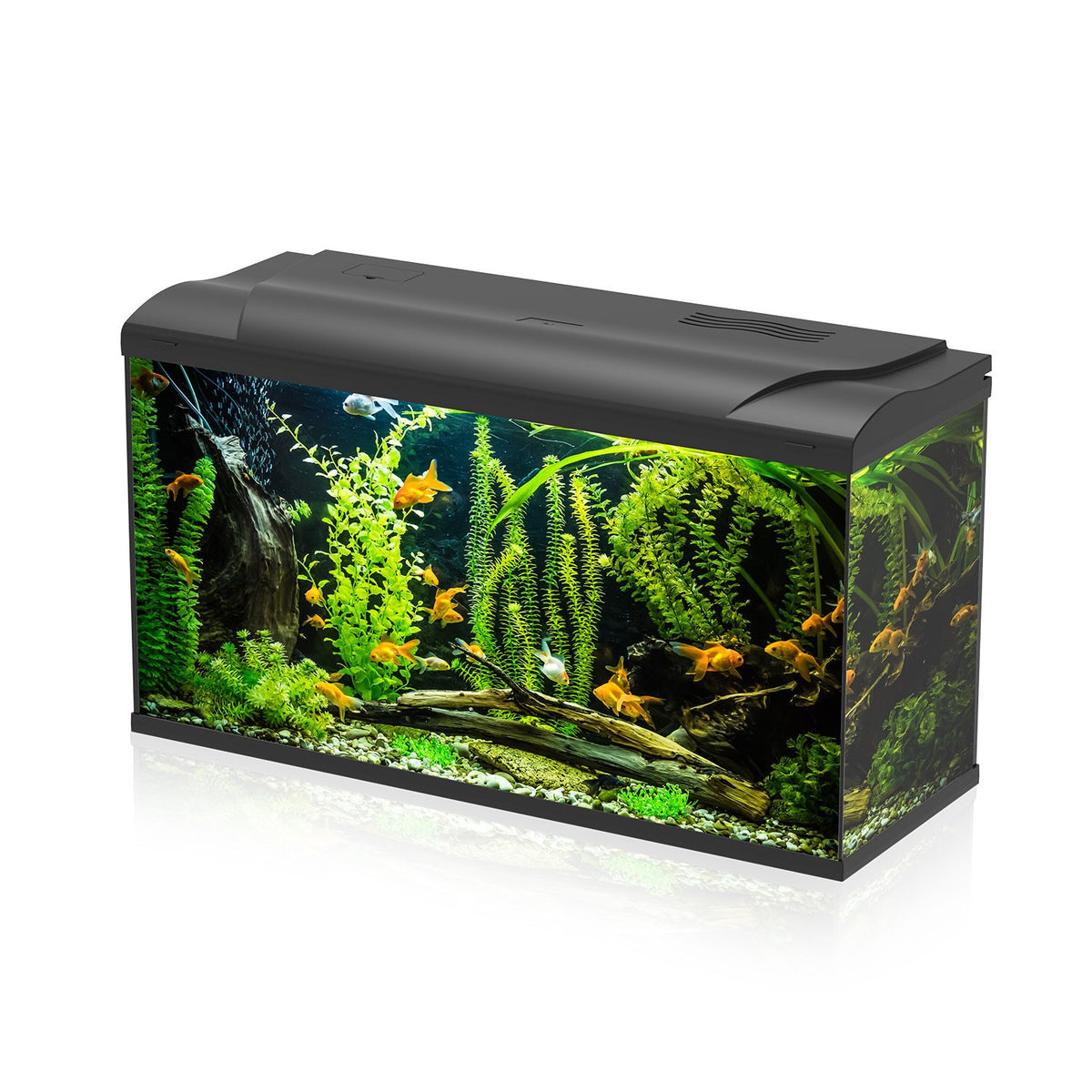 AQPET Simply led 100 (80x30x46h) completo di supporto. Colore nero