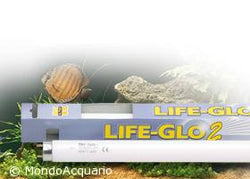Life-glo 15W 6700K