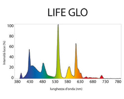 Life Glo II 24W T5