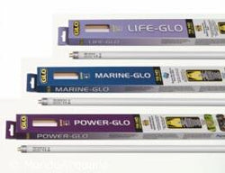 Marine Glo 54W T5