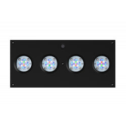 AQUA ILLUMINATION Hydra 64HD nera