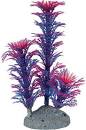Color plant M