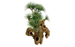 Bonsai nano