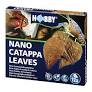 Catappa nano Leaves 12foglie