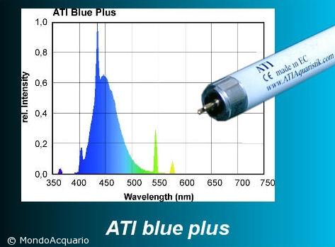 ATI Blue plus 54W