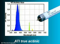 ATI Actinic 24W