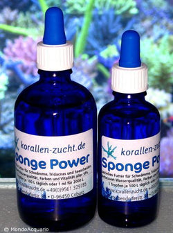 KORALLEN ZUCKT  Sponge Power 50 ml